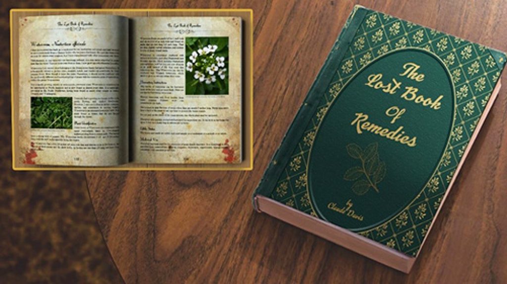 the lost book of remedies amazon